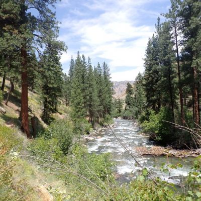 Middle Fork TR 6.JPG